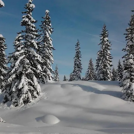 Muehlbacher Lodge, Amade Lägenhet