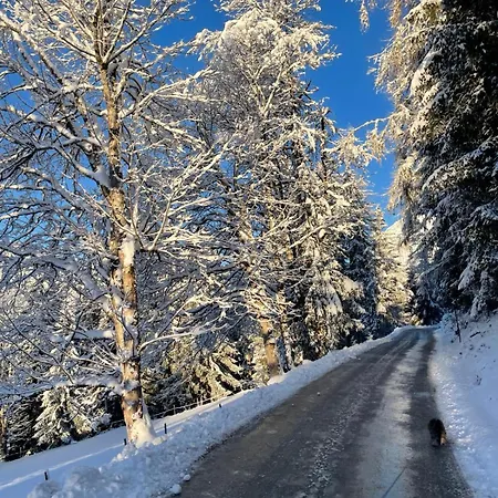 Lägenhet Muehlbacher Lodge, Amade Mühlbach am Hochkönig